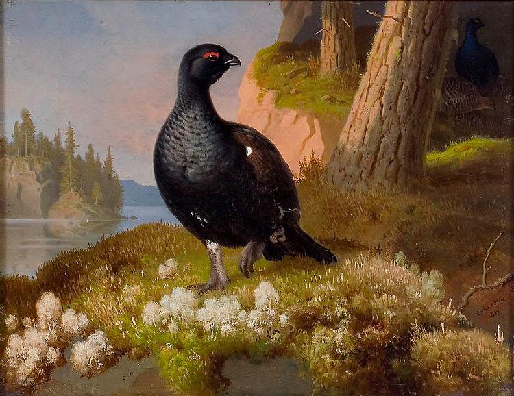 Ferdinand von Wright Black Grouses 1864 Sweden oil painting art